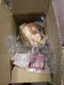 奇香源 1887酱香猪肘750g*1袋 即食五香猪肘子 带骨猪全肘 源头直发包邮 实拍图