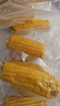 当季新货头茬东北黄甜糯玉米棒真空包装低脂黄糯大棒甜东北黏苞米 黄糯玉米【120-160克】6支 实拍图