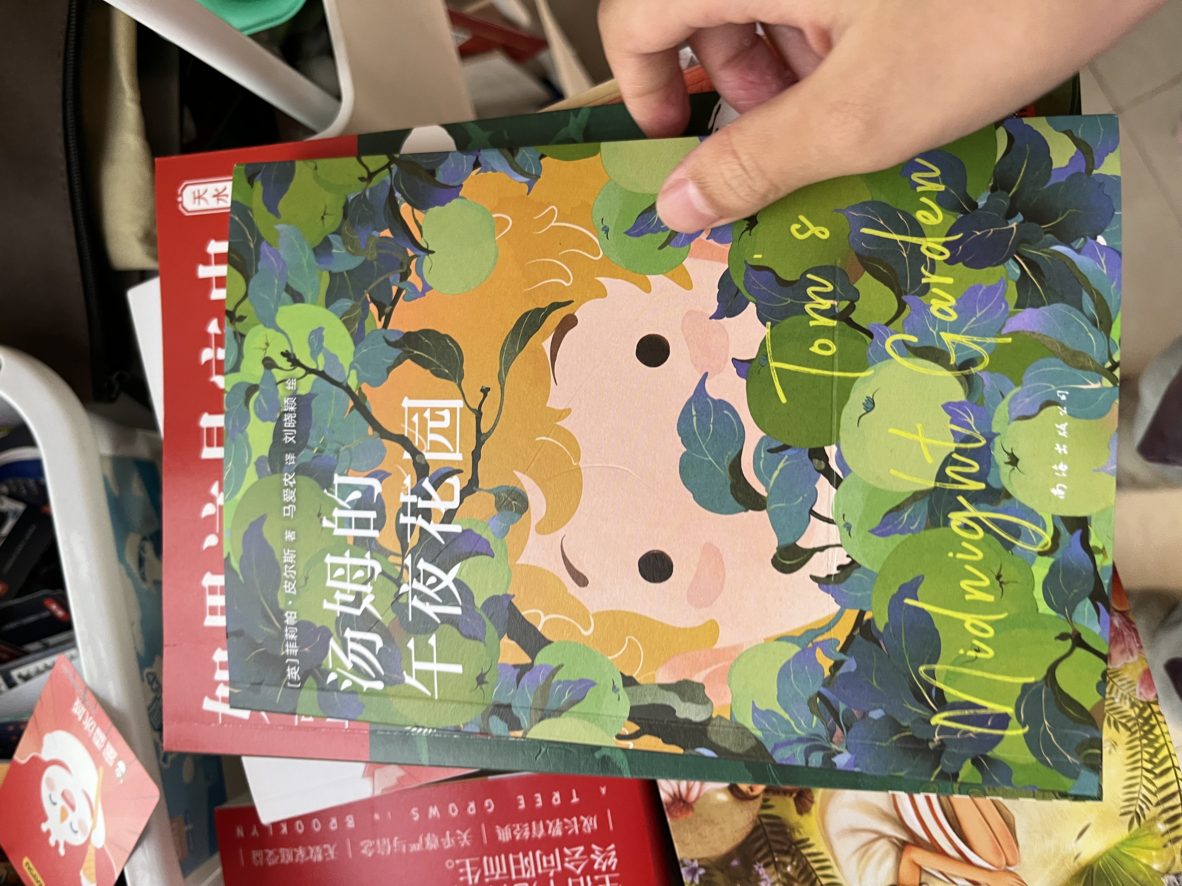 汤姆的午夜花园 （爱心树童书） 课外阅读 阅读 课外书 一升二衔接 小升初衔接  实拍图