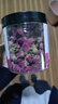 福东海 玫瑰花60克【当季新采】 玫瑰花干 精选花蕾饱满  泡水冲泡养生  实拍图