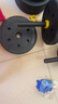 华亚（HUAYA） 哑铃男士杠铃套装可调节环保包胶手铃亚玲家用运动锻炼健身器材 一副两只总重40kg两用款【资深健身】 实拍图