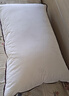 水星家纺枕头枕芯酒店枕头护颈枕头芯家用一对纯棉抗菌可水洗中枕48x74cm 实拍图