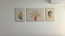 猫九酱奶油风客厅装饰画简约现代小清新花卉三联画高级感沙发背景墙挂画 实拍图