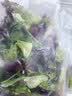千牛优福【免洗】蔬菜沙拉套餐130g/包 开袋即食新鲜混合生菜轻食健身套餐 3袋蔬菜+6包培煎芝麻酱 实拍图