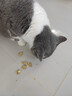 憨憨乐园狗猫零食冻干生骨肉网红猫爪饼干幼成猫咪补充营养发腮猫粮伴侣 实拍图