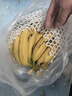 广西网红小米蕉青香蕉发货密封放熟吃新鲜水果皮薄肉厚 带箱8斤青蕉发货 实拍图