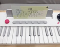 迪漫奇儿童益智彩虹电子琴儿童钢琴玩具早教37键可弹奏初学者 实拍图