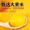 大黄米黑芝麻汤圆早餐汤圆元宵夜宵经典水煮大汤圆 2000g（5袋） 实拍图