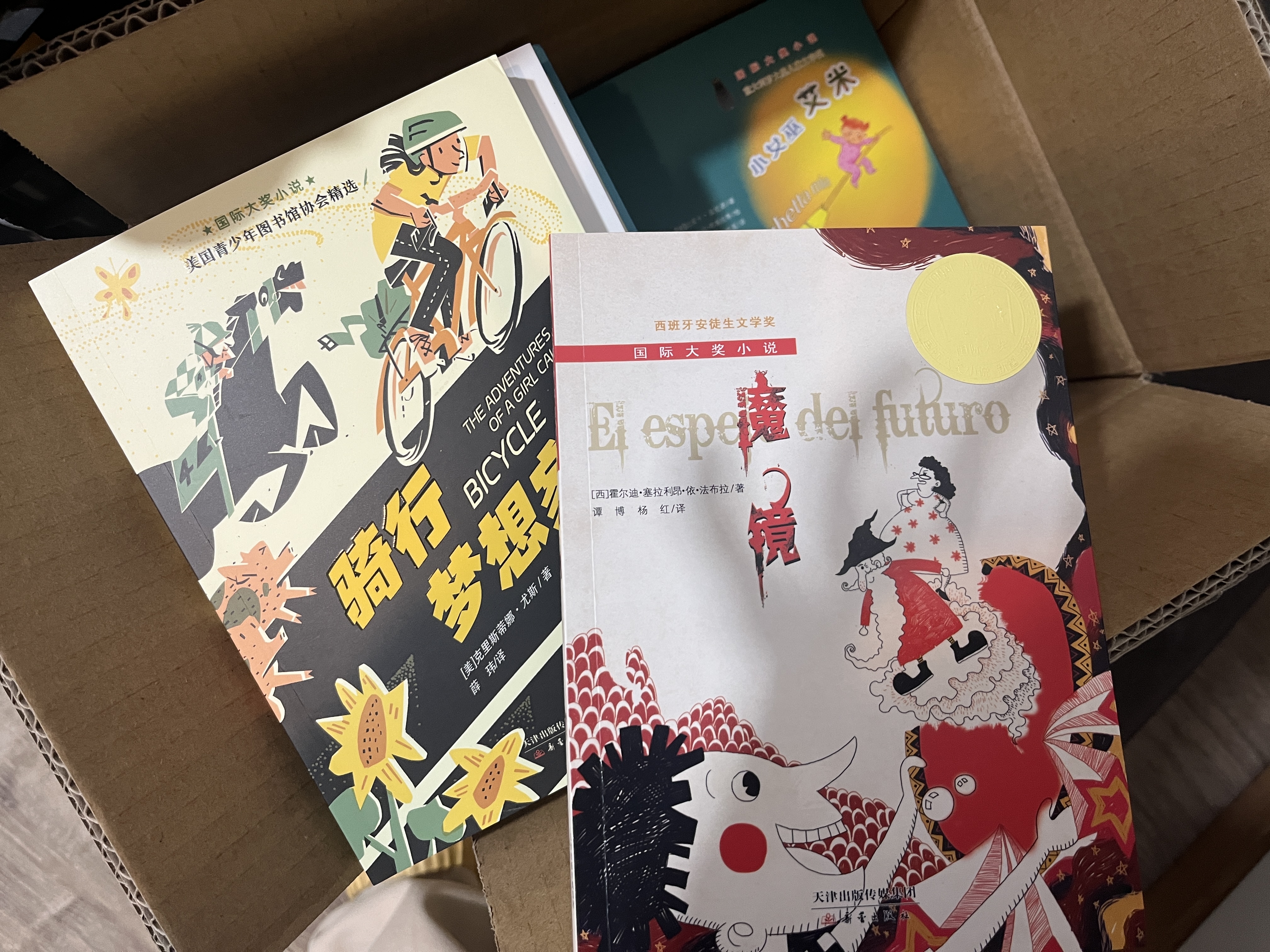 国际大奖小说·分级阅读一星（新版共21册） 课外阅读 阅读 课外书    实拍图
