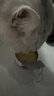 宝迪路猫罐头零食罐成幼猫鸡肉猫咪营养健康鱼油鸡丝罐头湿粮补水汤包 鱼油罐头（鸡肉南瓜味）85g*12罐 实拍图