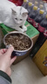 玫斯（metz）猫粮无谷天然猫粮成猫幼猫全阶段鲜肉孕猫全价奶糕猫粮 玫斯pro无谷全期猫粮10KG升级版 实拍图