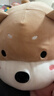 名创优品（MINISO）趴姿系大号趣味狗狗公仔玩偶玩具娃娃抱枕生日礼物女 卡其色 实拍图