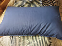 海澜之家（HLA）枕头枕芯一套护颈枕一芯睡眠颈椎病深度睡眠专用男士家用一对装 【7A类抗菌】48*74cm-深蓝 单只 中枕 实拍图