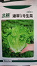 北蔬 生菜种子苗四季种生吃耐热耐抽薹菜籽 速翠1号生菜种子约5000粒 实拍图