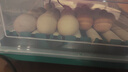 威振 孵化器全自动家用型芦丁鸡孵化机鸭鹅鸽孵化箱智能小型孵蛋器 36枚全自动双电【送加水瓶】 实拍图