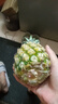 广东徐闻香水菠萝新鲜水果生鲜热带孕妇水果整箱包邮 【限时低价】1个装  净重650g起 实拍图