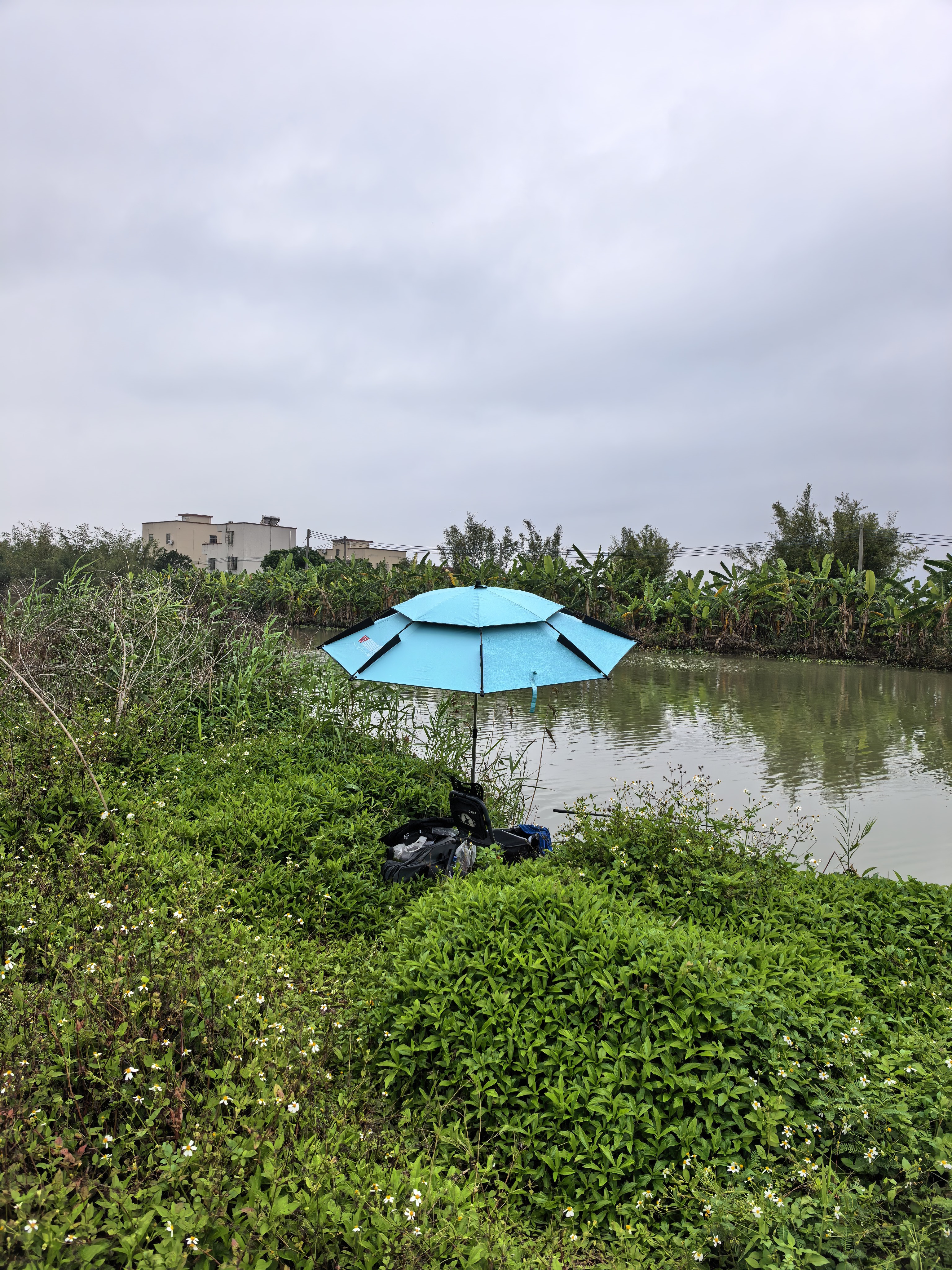 沃鼎钓鱼伞全杆不锈钢遮阳伞加固加厚10层防雨伞台钓伞露营户外沙滩伞 实拍图