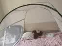 全品屋蒙古包蚊帐架免安装可折叠家用婴儿防摔拉链坐床式宿舍一体式床帘 【双门全底条纹蓝】1.8*2.0米M 实拍图