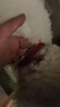 多尼斯（DOGNESS）狗狗牵引绳遛狗绳狗链子项圈幼小型犬泰迪贵宾比熊博美柯基 红S 实拍图