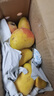 京喜加海南鲜芒果小台水果芒果新鲜上市 带箱2斤【单果70g+】 实拍图