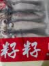 慧鲜森 海兔子满籽笔管鱼鲜活冷冻海鲜籽乌章鱼新鲜墨鱼仔小鱿鱼乌贼 发2包 520g(净重) 实拍图