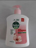 滴露（Dettol）洗手液抑菌杀菌消毒滋润500g+500g 补充装儿童家庭护手替换 实拍图