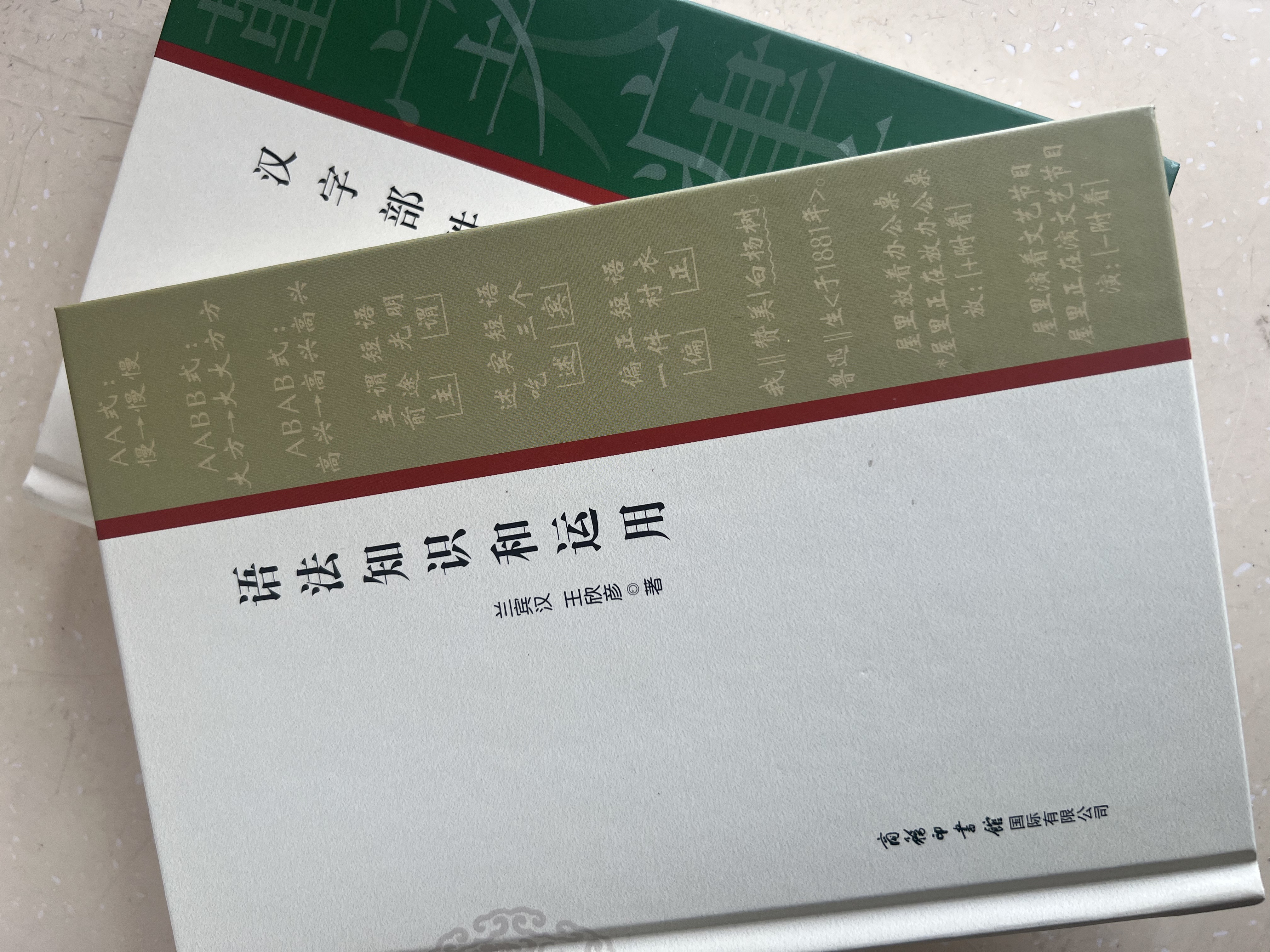 语法知识和运用 汉语学习 2021最新版  标点符号运用 语法错误 写作通用 汉语知识 实拍图