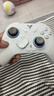 飞智冰原狼4多模版无线游戏手柄 类xbox 力调节摇杆双切扳机 switch电脑PC手机steam体感NS 仁王3 实拍图