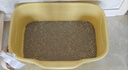 疯狂的主人特大号半封闭式猫砂盆防外溅猫厕所特大防臭猫沙盆巨大幼猫猫屎盆 实拍图