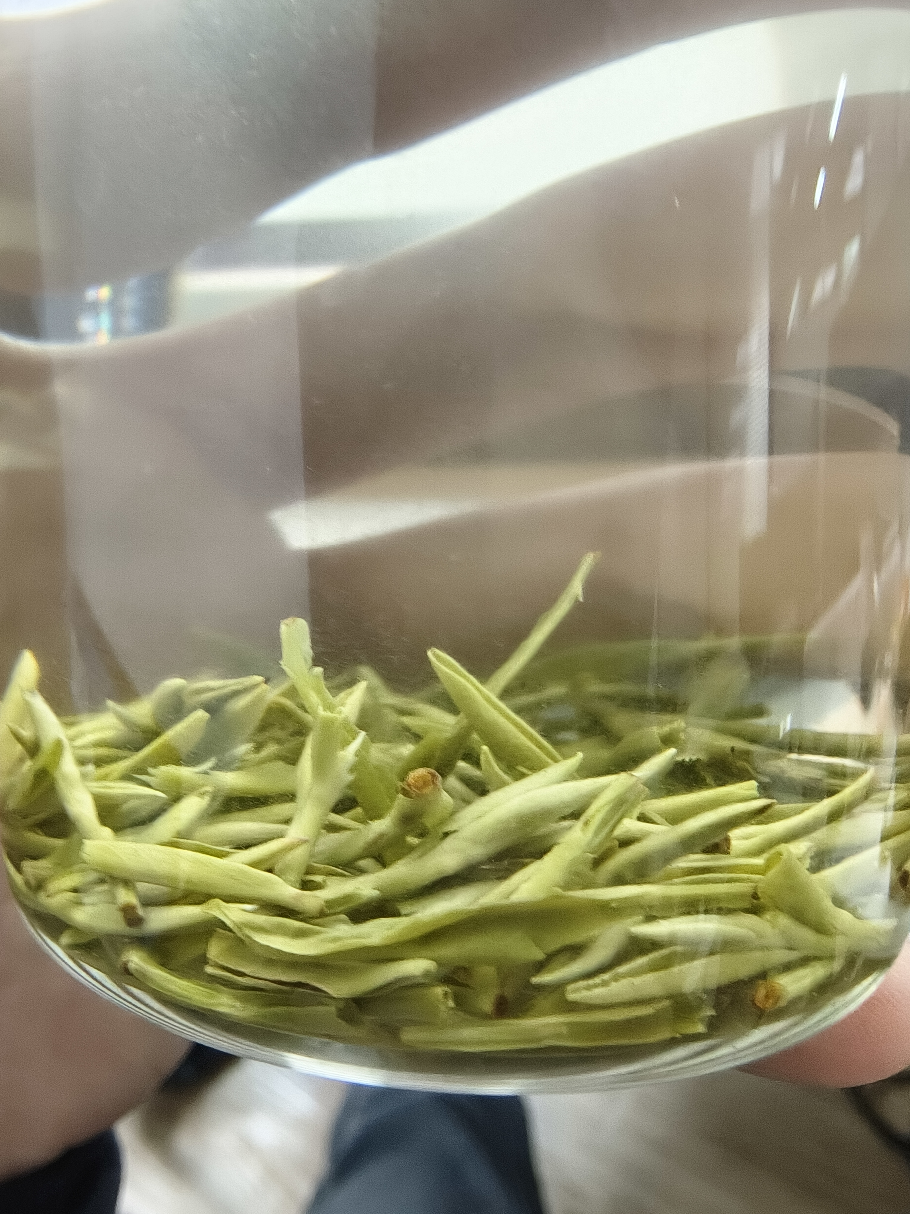 贡苑2026新茶头采特级雀舌200g 高端峨眉山明前绿茶茶叶礼盒装送长辈 实拍图