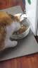 倍内菲鲜肉烘焙猫粮 生骨肉冻干全价成幼猫全期鸡肉乳鸽营养主粮推荐 【含10%冻干】鸡肉三文鱼配方6kg 实拍图