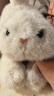 名创优品（MINISO）塔尼兔系列趴姿公仔毛绒玩具玩偶兔子娃娃抱枕生日礼物女 实拍图
