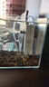 森森 小鲤鱼缸过滤器净水循环三合一内置水族箱过滤系统XQP-500F 6W 实拍图