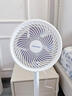 大宇（DAEWOO）【台地两用】空气循环扇家用大风力电风扇卧室轻音全屋循环大风力落地扇 F45 实拍图