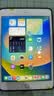 Apple苹果ipad9/10/Pro2022/21/20款 /air6/mini6/5二手平板电脑 iPad mini5 实拍图