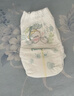 帮宝适超薄透气清新帮拉拉裤新生儿婴儿尿不湿尿片透氧Pro L42 实拍图