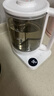 米家小米养生壶N1烧水壶恒温电热水壶煮茶壶泡茶器一体304不锈钢 小白壶家用办公室附茶漏1.5L 实拍图