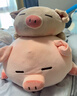 名创优品（MINISO）小猪B-BO弹力超柔趴姿公仔毛绒玩具玩偶抱枕靠枕娃娃生日礼物女 实拍图