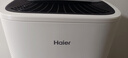 海尔（Haier）除湿机/抽湿机  家用除湿机轻音吸湿器干衣净化抽湿器去湿防潮干燥机地下室别墅专用大面积除湿 6L/天 小空间优选【适用15㎡-40㎡】 实拍图