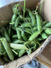 新鲜豌豆四川带壳青豆角水果甜豆荚农家蔬菜 新鲜青豌豆荚净重2斤 实拍图