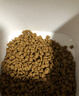 皇家幼猫猫粮 幼猫专用 K36 通用粮 4-12月 400g 实拍图