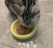 滋益巅峰（ZIWI）猫主食罐头85g牛肉味主食湿粮成猫幼猫通用新西兰原装进口 实拍图