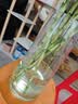 普先生老花镜男女士远近两用高清防蓝光便携折叠老花眼镜300度65-69岁 实拍图