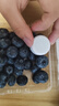 怡颗莓Driscoll's 云南蓝莓Jumbo大果18mm+ 4盒约125g/盒 新鲜水果 实拍图