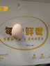 京鲜生【供港品质】【每日鲜蛋】无抗谷物鸡蛋30枚3.78斤当日产蛋当日发 实拍图