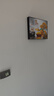 电表箱装饰画免打孔现代简约客厅餐厅挂画总开关电闸盒遮挡配电箱 家和富贵 40*30遮挡30*20 上掀款-无液压杆 实拍图