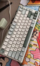 RK R75Pro游戏机械键盘无线蓝牙有线三模电竞专用电脑办公客制化75配列81键便携侧刻麻将音RGB背光 R75Pro-空青-烟雨轴V2-三模 实拍图
