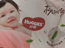 好奇（Huggies）铂金装小桃裤成长裤XL96片(12-17kg)加大号尿不湿【透爽散热】 实拍图