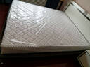 慕胜弹簧床垫席梦思1.8米天然乳胶椰棕20cm厚十大品牌1.8x2米适中偏硬 实拍图
