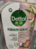 滴露（Dettol）衣物消毒液自然香氛洗衣除菌液 除螨除异味去汗臭48H留香1000ml*1 实拍图